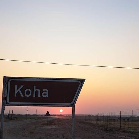 Koha Guesthouse Mariental Zewnętrze zdjęcie