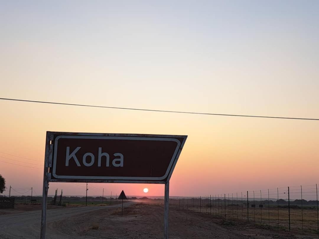 Koha Guesthouse Mariental Zewnętrze zdjęcie